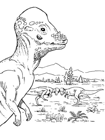 Pachycephalosaurus Dinosaur Coloring Page